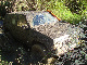 Avatar do Utilizador