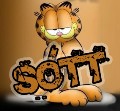 Avatar do Utilizador