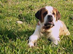 D1000007 (Small) (WinCE).JPG