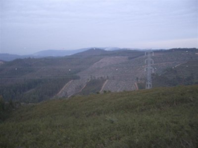 diverssos 213 (Medium).jpg