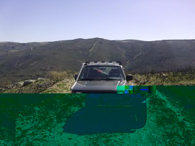 tn_09042010191.jpg