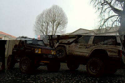 IMG_2331.jpg
