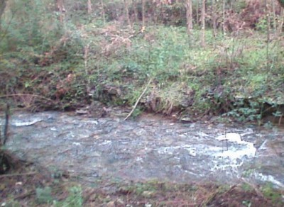 Img023.jpg
