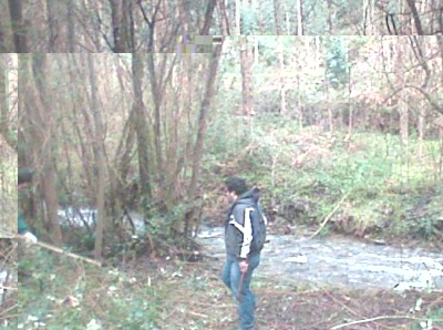 Img022.jpg