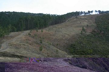tn_IMG_4343.JPG