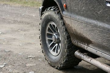 tn_IMG_4323.JPG